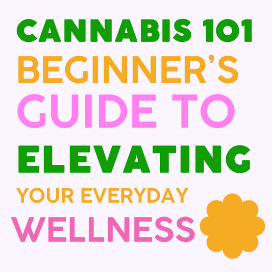 Cannabis 101: A Beginner’s Guide to Elevating Your Everyday Wellness